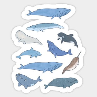 Whales Sticker